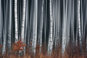 F1巨星倾情吐露心声,赛道之外的另一面等你揭秘!