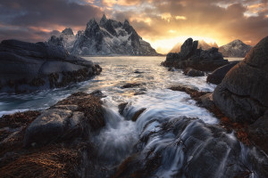 中国队冲鸭！2026世界杯比分直播，为国足加油助威！